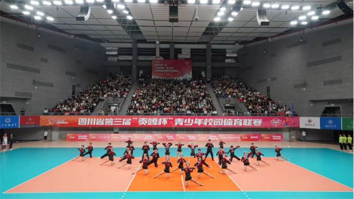 成都体育比赛,巷弄热血激情与特色小店探秘