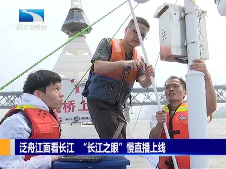 湖北电视台帮女郎节目热线电话解析