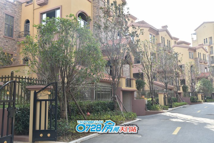 天门西雅半岛最新资讯，日常温馨趣事一窥