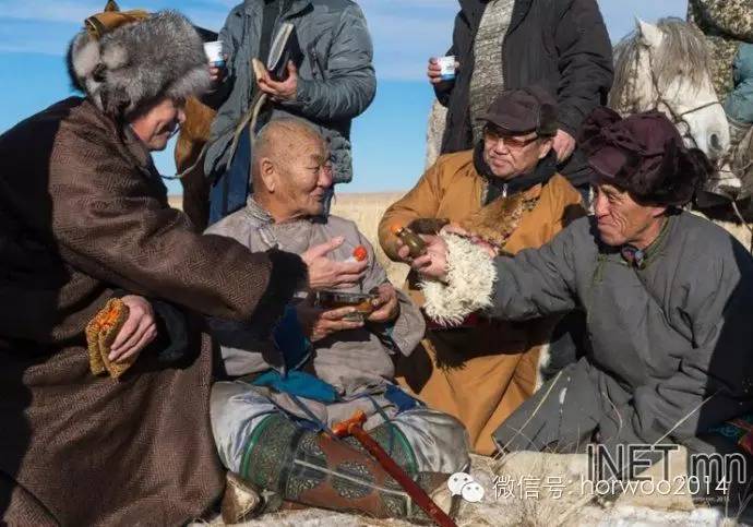 最新蒙古犬斗视频，力量与自信的展现