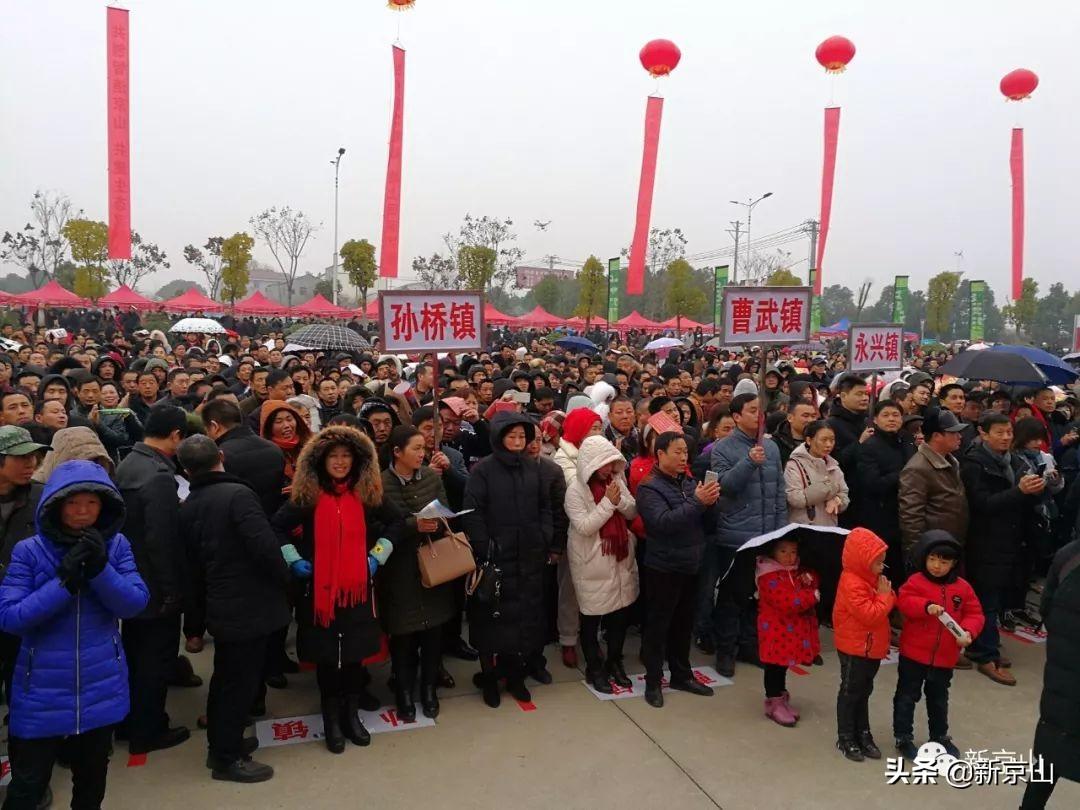 京山最新招聘资讯及其观点论述详解