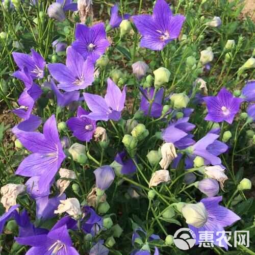 环境监测设备 第258页