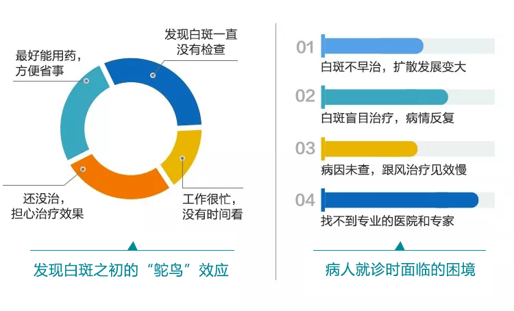 全球最新疫情数据与健康动态深度解析
