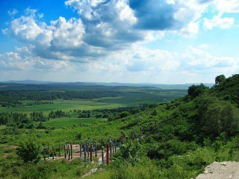 山东山水集团引领科技新潮,打造全新高科技产品体验,发布最新公告