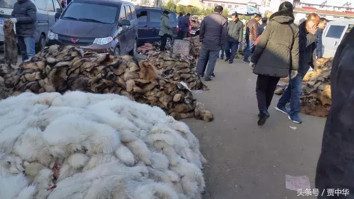 尚村毛皮市场最新动态，变化中的学习之旅，自信与成就感的源泉