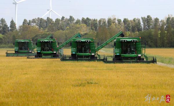 光明乳业上市，探寻鲜香的冒险之旅，小巷中的宝藏宝藏乳业探索之旅
