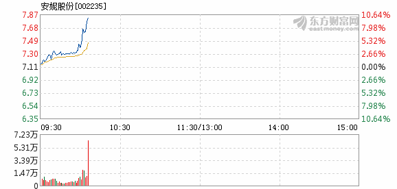 安妮股票，投资热点及策略深度解析