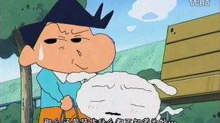 白兔窝资讯，最新动态与未来趋势探索