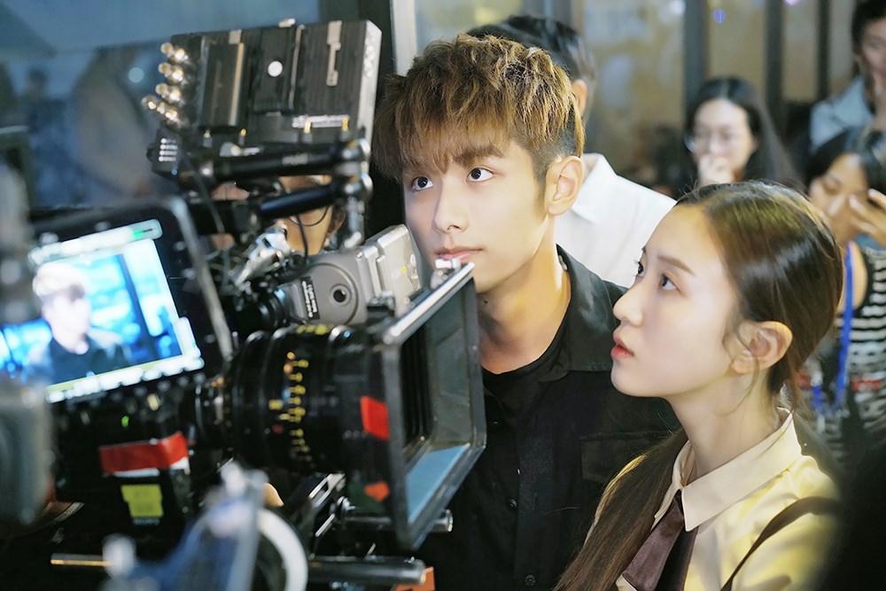 惹上冷殿下，热门剧集独特魅力的免费观看