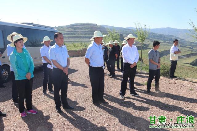 庄浪县最新动态揭秘,县域发展的崭新篇章开启!