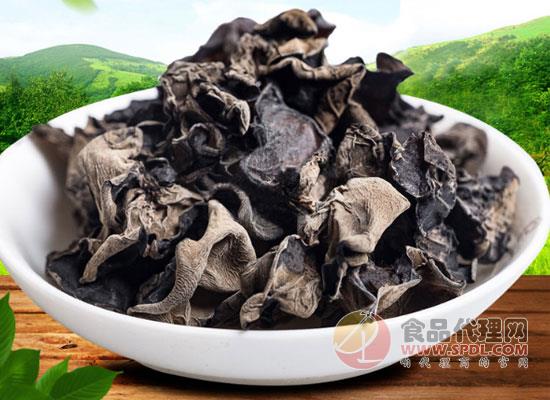 木耳价格最新动态与一场自然美景的探寻之旅