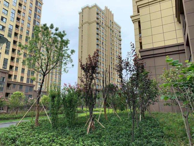 姜堰楼盘最新房价信息，科技重塑居住梦想，智能生活新纪元开启