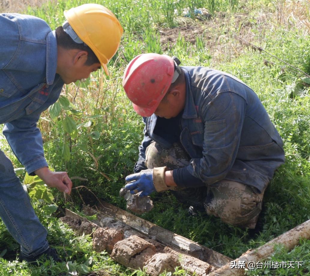 乙最新观点碰撞与个人立场阐述大会