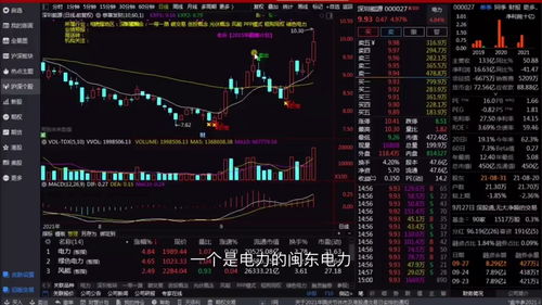 股票入门必备,开启财富之门的钥匙——股票基础知识详解