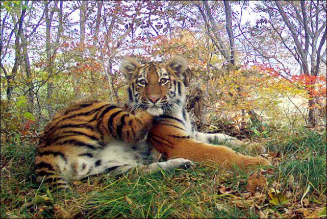 水景设备 第249页