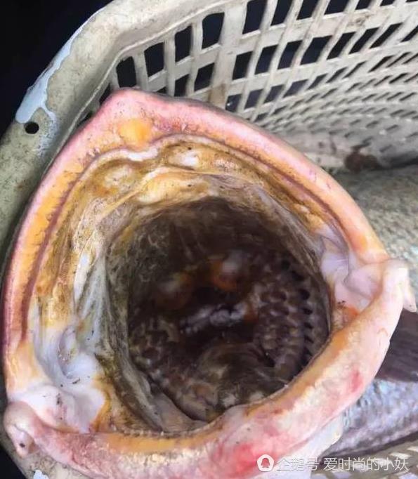 科技重塑黄金价值,卖出价格的全新定义