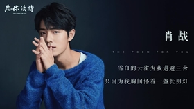 电视剧大哥演员表全解析,中国电视剧明星阵容一览