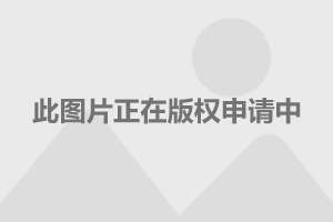 周杰伦最新动态，音乐巨星的新动态及其影响力冲击波