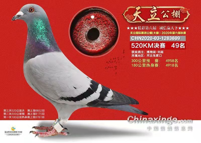 第804页