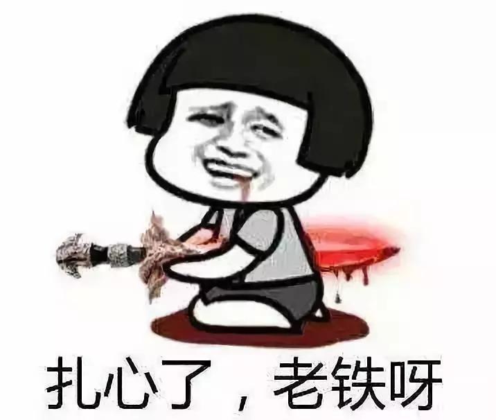 尚智逢源最新动态，与大自然探索内心平静的旅程