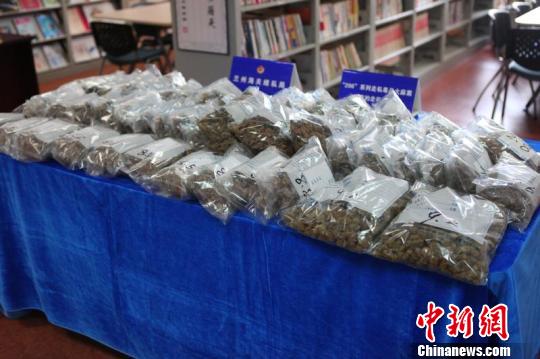 多元视角下的毒品问题审视与观点阐述，最新获毒品分析