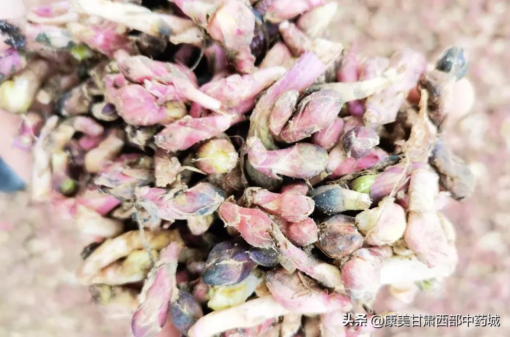 款冬花最新价格，一场心灵平静之旅的探寻