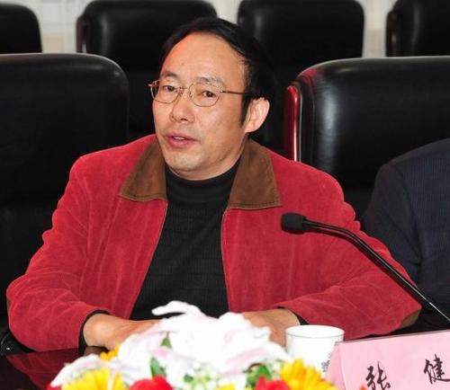 张健最新消息，多维度视角下的观点深度探析
