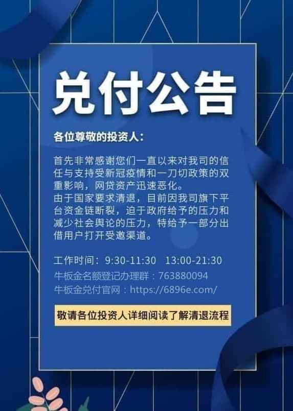 牛板金最新进展与小巷独特风味探索揭秘