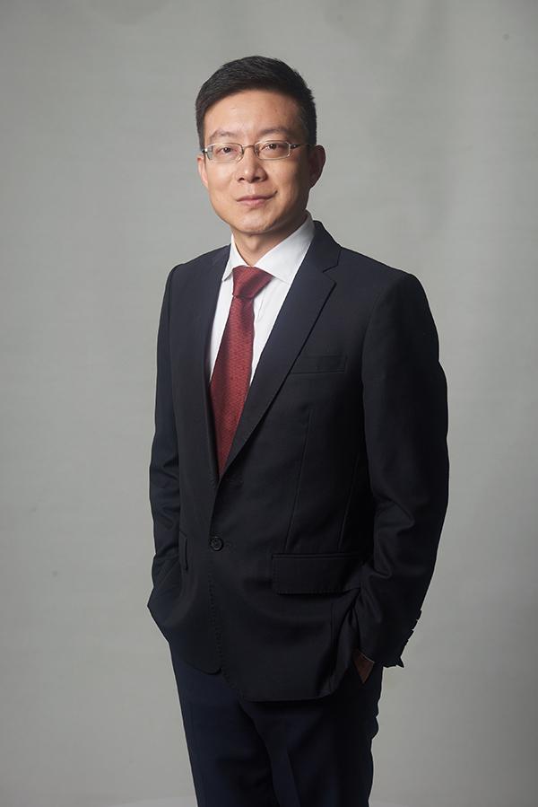 最新银杏价格,科技与生活完美融合的高科技产品介绍