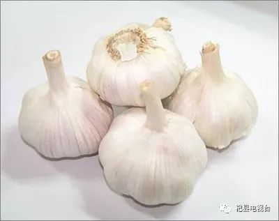 今日金乡大蒜最新行情，心灵与大蒜的邂逅之旅