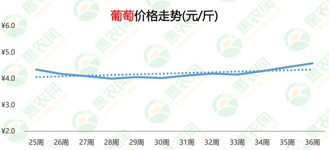 最新葡萄价格揭秘与行情概览🍇