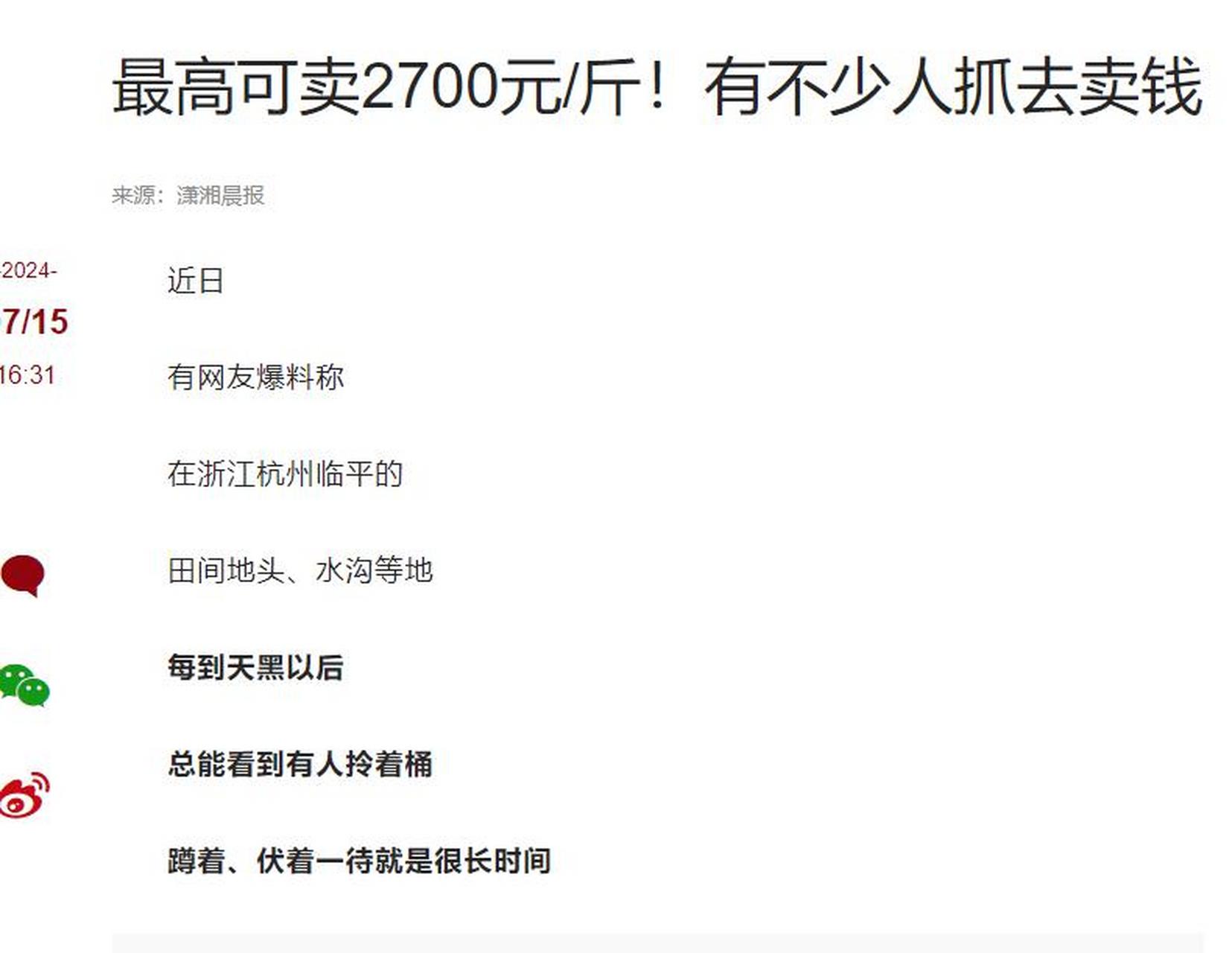 掌握蚂蟥最新价格动态，洞悉市场趋势与行情