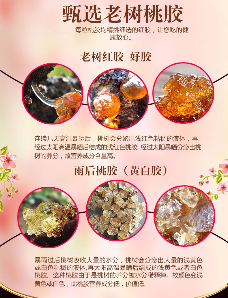 探寻独特桃胶美味之旅，最新桃胶价格揭秘，小巷深处的宝藏！
