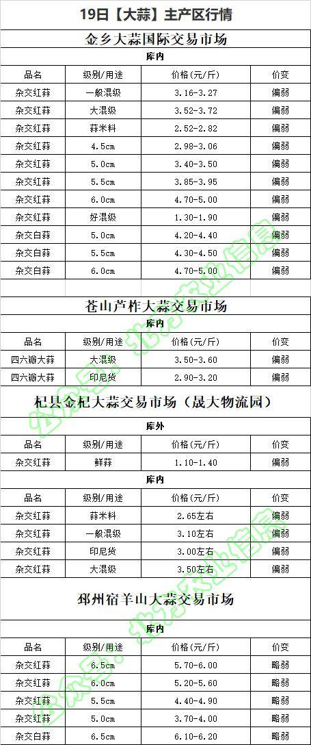 蒜最新价格揭秘🌱