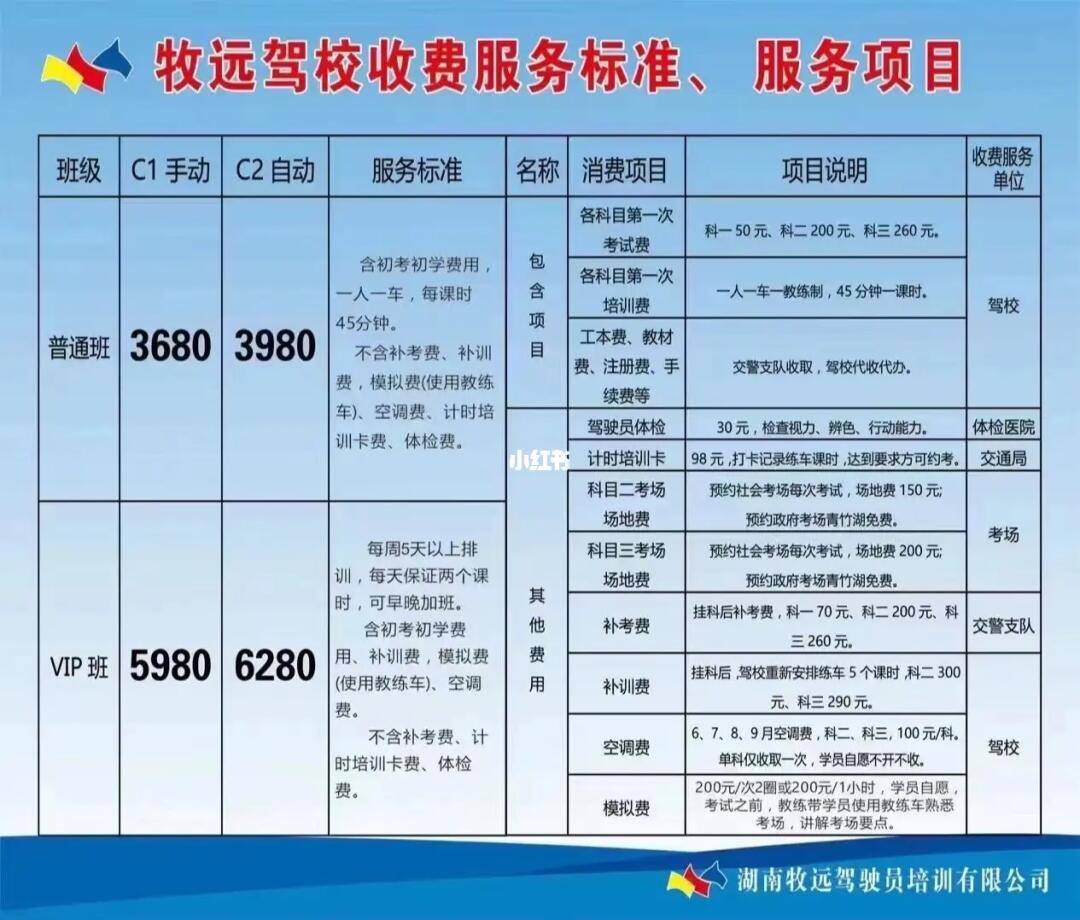 驾校最新价格，小巷中的隐藏宝藏与特色小店的奇妙之旅探索