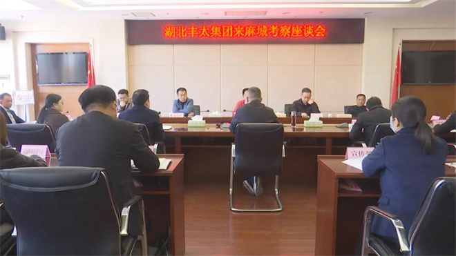 麻城最新新闻，小城温馨日常与深厚友情的见证