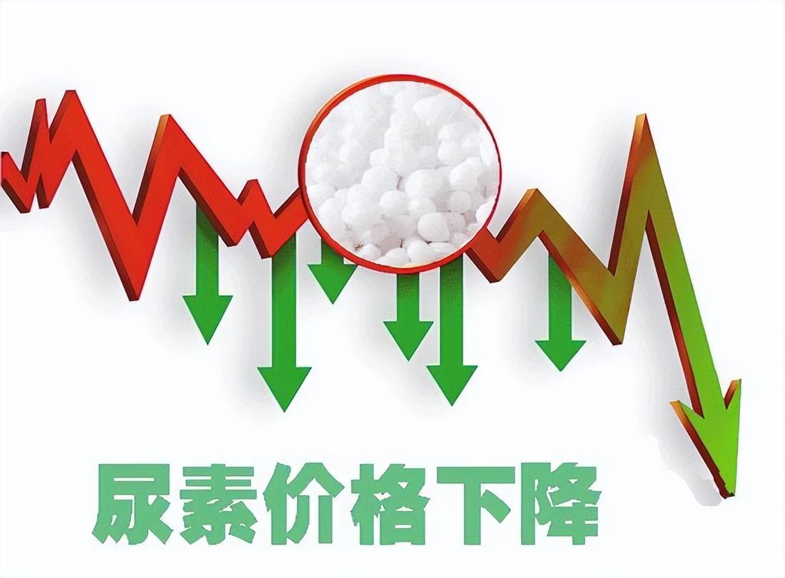 尿素最新报价获取指南及市场行情分析