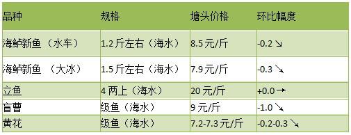 黑鱼最新行情动态更新