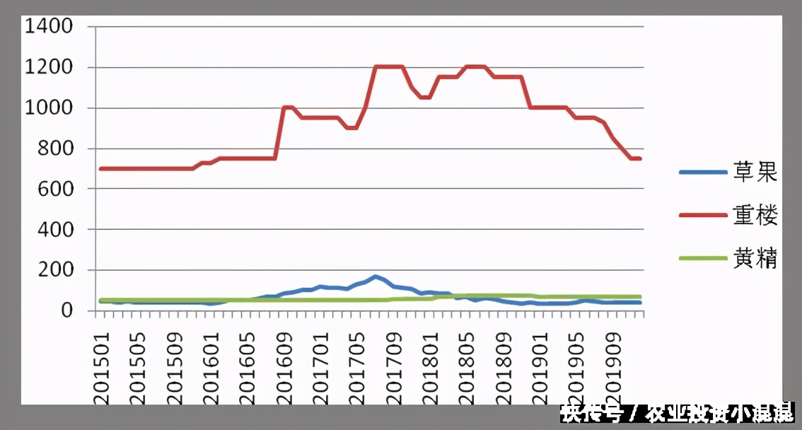 黄精最新行情深度分析，市场动态与趋势展望