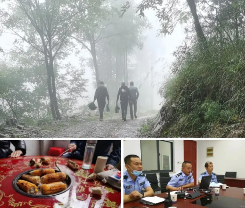 荆门最新命案详解,从初学者到进阶用户的步骤指南