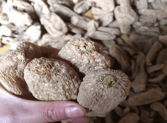 天麻最新行情与老友间的温情时光