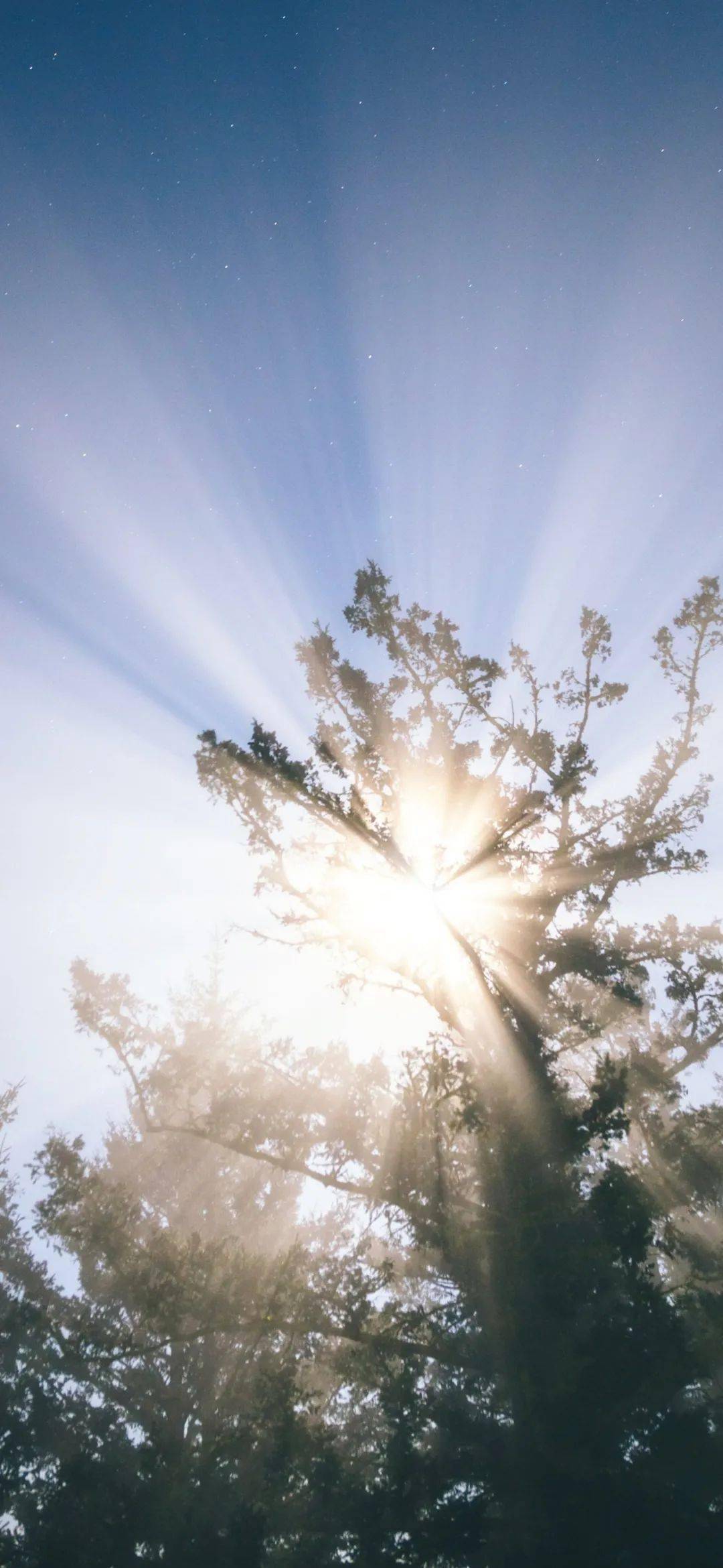 科技与艺术融合，最新苹果壁纸重塑生活美学