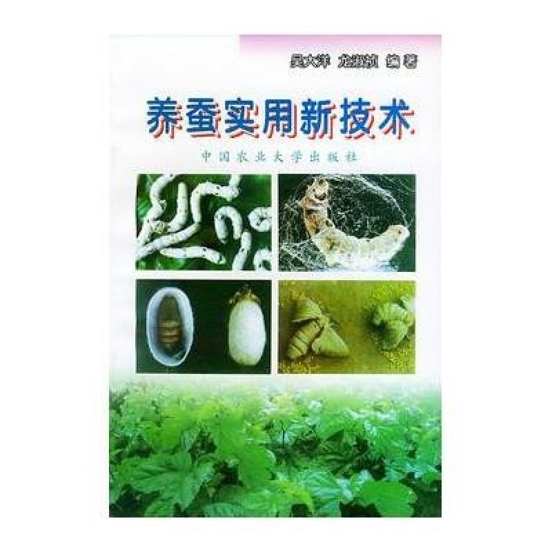 揭秘最新养蚕技术，轻松开启致富之门！