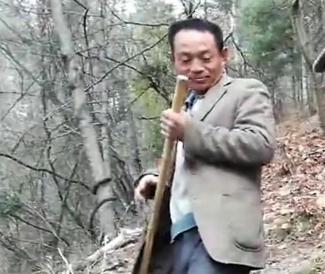 毒蜂最新动态，背景、重要事件与地位的深度剖析