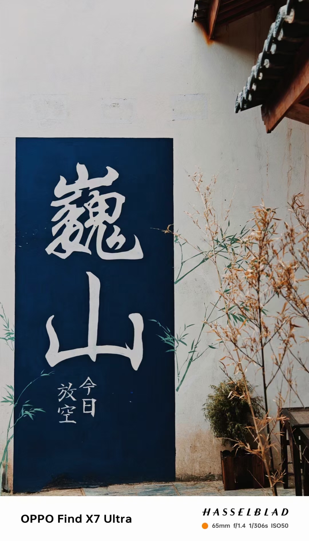 巍山最新打歌，友情与温馨的旋律