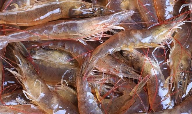 对虾最新价格走势,市场分析及其影响因素全面解读