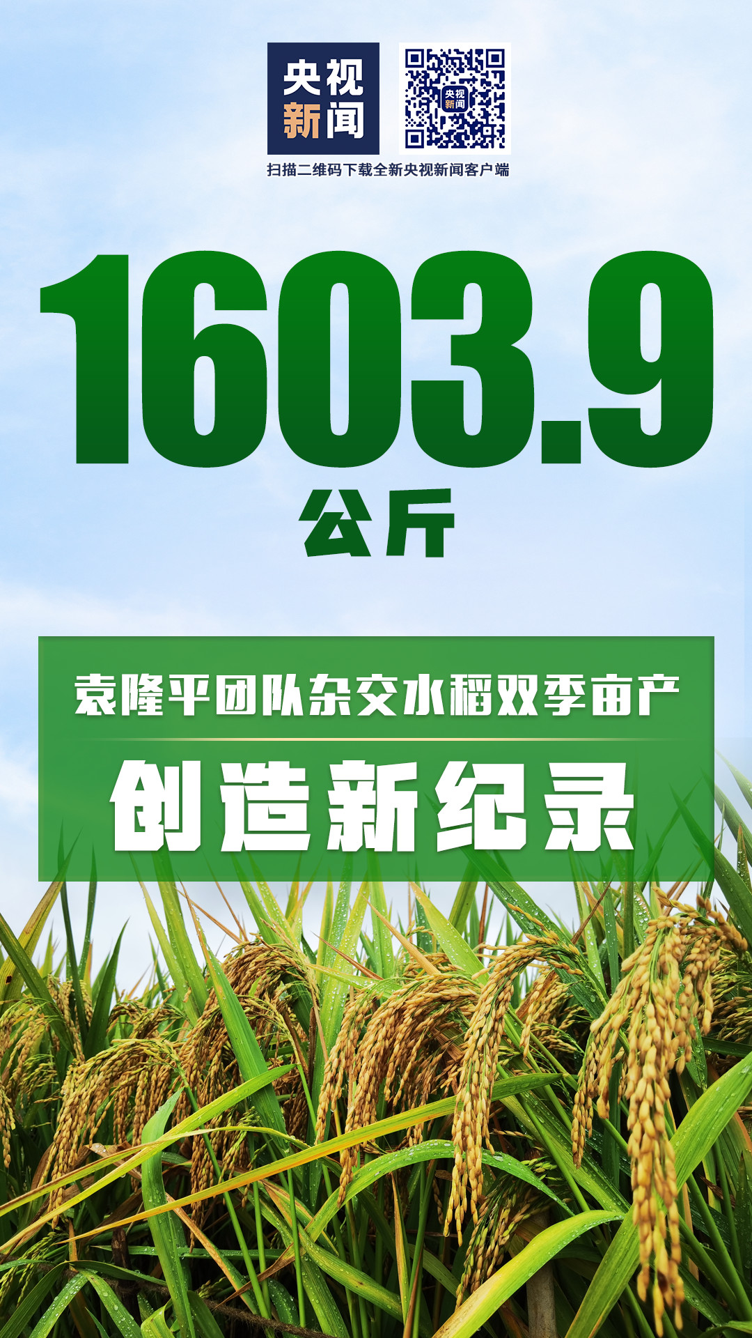 科技与农业的结合，最新杂交水稻引领未来农业革命
