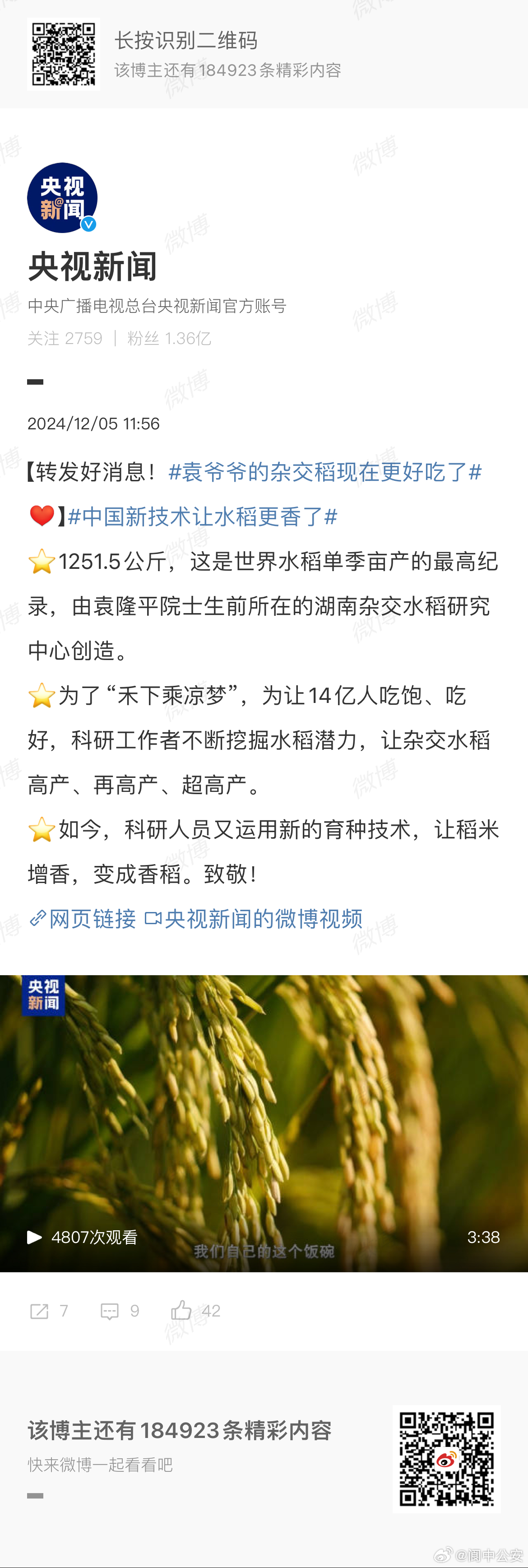 科技与农业的结合,最新杂交水稻引领未来农业革命