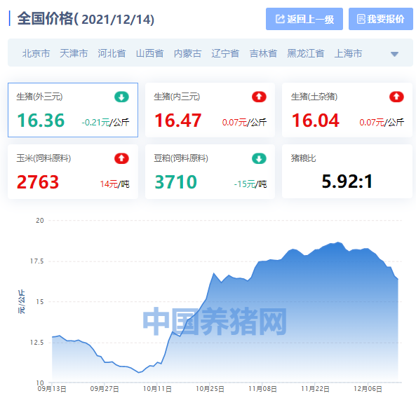 榆树最新价格及购买指南