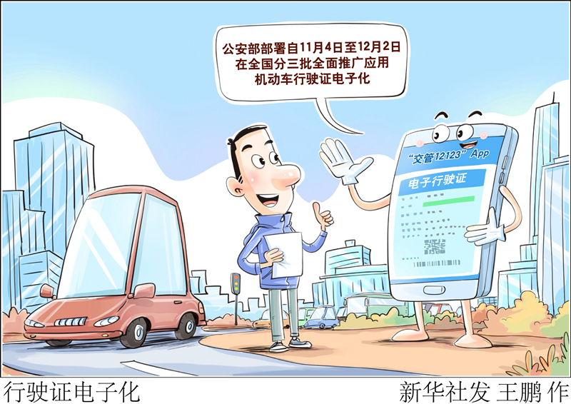 最新驾照政策详解，你必须知道的重要事项！
